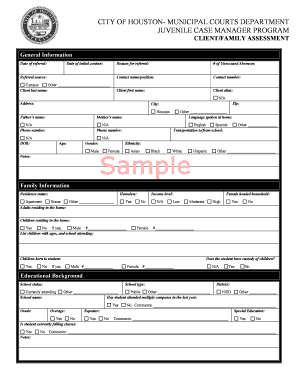 Juvenile Case Manager Program Assessment Form