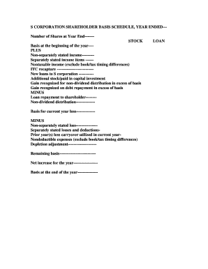S Corporation Shareholder Basis Schedule
