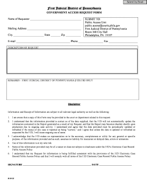 First Judicial District of Pennsylvania Government Access Request Form