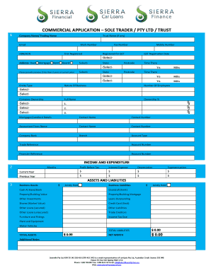 Commercial Loan Application Form
