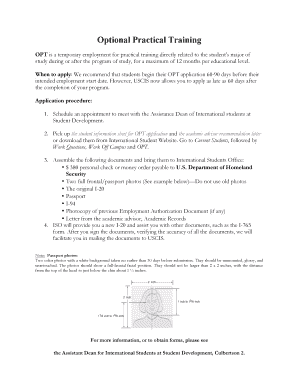 Optional Practical Training Application Form