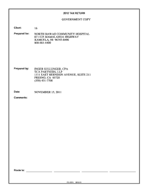 2010 Form 990 Tax Return