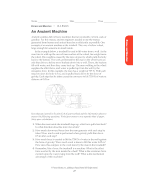 Bones and Muscles Worksheet