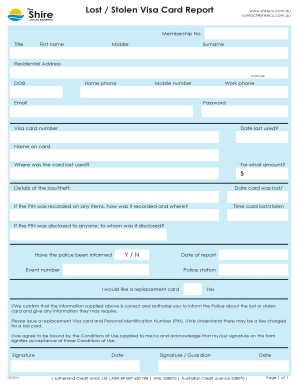 Lost / Stolen Visa Card Report