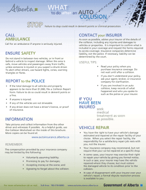 Auto Collision Report Form