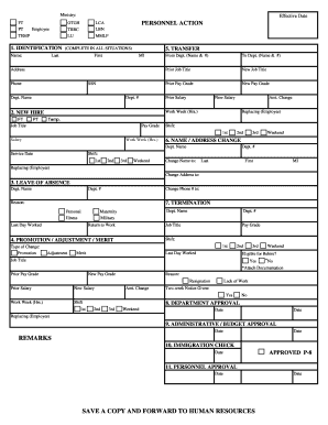 LCA Personnel Action Form