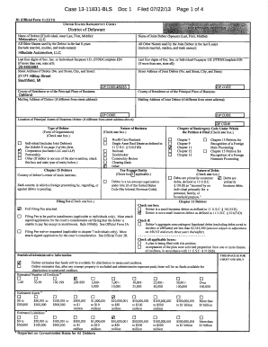 US Bankruptcy Court Voluntary Petition