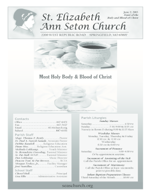 St Elizabeth in Ordinary Time Sunday Feast of the Ann - seaschurch