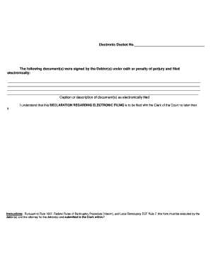 Debtor's Declaration Regarding Electronic Filing