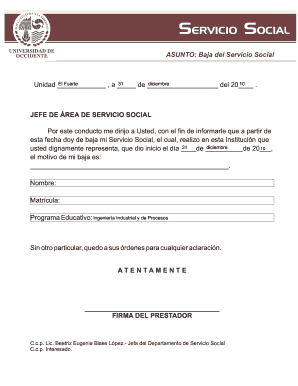 Baja del Servicio Social