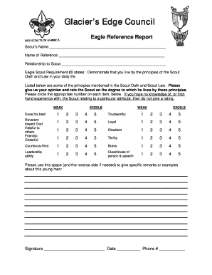 Eagle Scout Reference Report