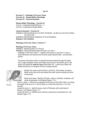 Nervous Tissue Lab Worksheet