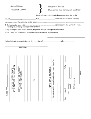 Illinois Affidavit of Service