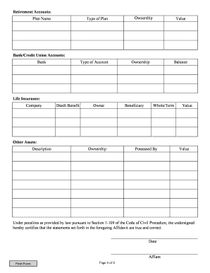 Personal Financial Statement Form