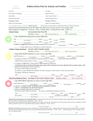 School Asthma Action Plan Form