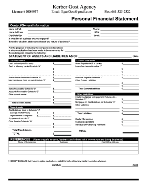 Personal Financial Statement Form