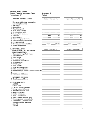 Ochsner Health System Patient Financial Assessment Form