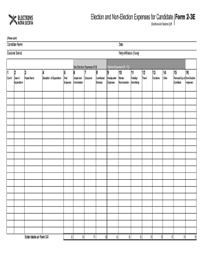 Candidate Expense Report Form