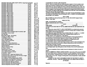 Texas Speeding Fine Notice