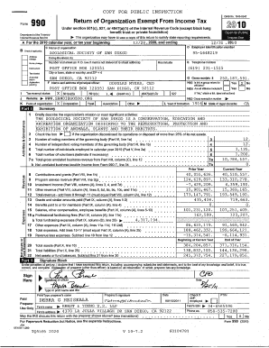 Form 990 2010