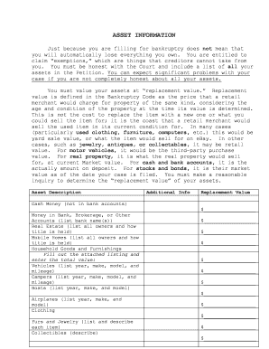 Bankruptcy Asset Information Form