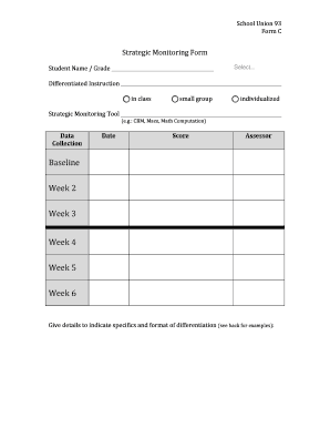 Strategic Monitoring Form for Differentiated Instruction