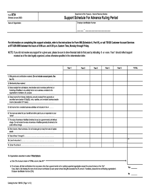 IRS Form 8734 Support Schedule