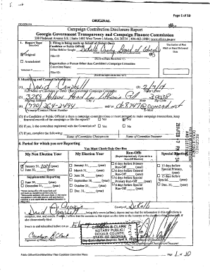 Georgia Campaign Contribution Disclosure Report