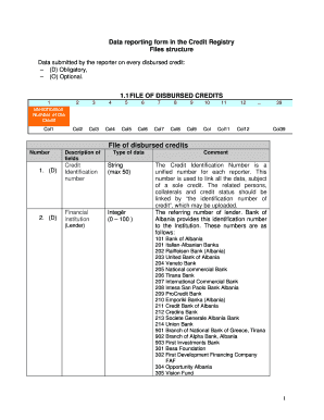 Albania Credit Registry Disbursed Credits Form