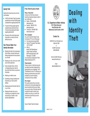 Identity Theft Victim Information Form