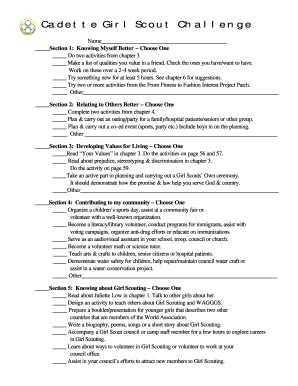 Girl Scout Cadette Challenge Form