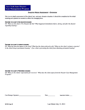 New York State Disaster Needs Assessment Form
