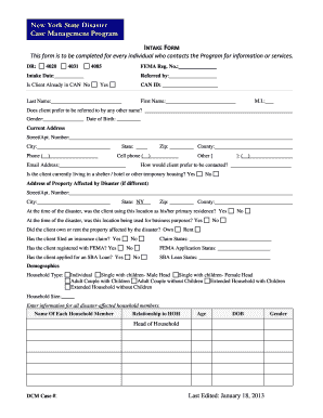 New York State Disaster Case Management Intake Form