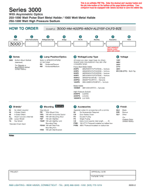 Series 3000 Lighting Fixture Order Form