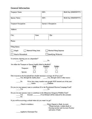 Minnesota Individual Tax Return Form
