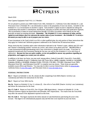 2009 Federal Form 1065 Schedule K-1 Tax Information