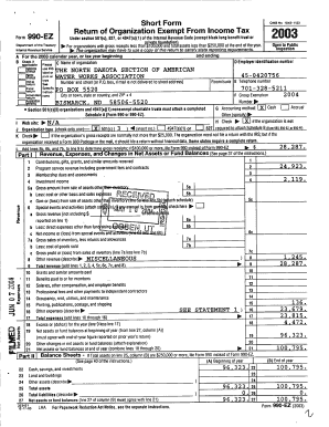 Form 990-EZ 2003