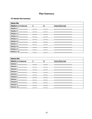 Market Plan Summary Form