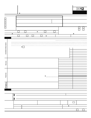 Form 990 2012