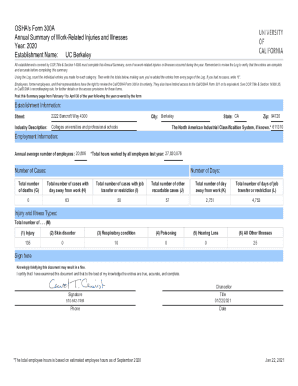 OSHA Form 300A Annual Summary