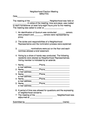 Neighborhood Election Meeting Minutes Template