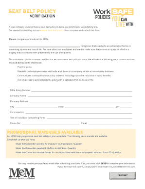 Seat Belt Policy Verification Form