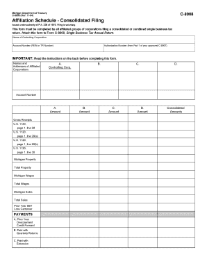 Michigan Affiliation Schedule - Consolidated Filing