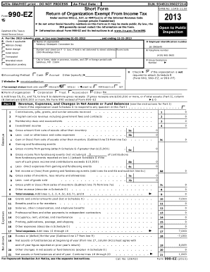 Form 990-EZ 2013