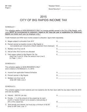 City of Big Rapids Income Tax Return