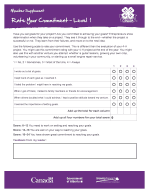 4-H Project Commitment Assessment Form