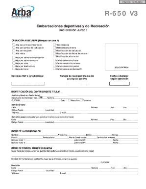 Declaración Jurada R-650 V3