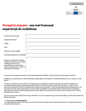 Mobility Experience Application Form