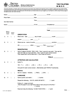 Folstein Cognitive Assessment Form