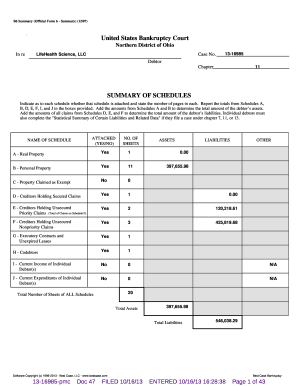 Official Form 6 - Summary